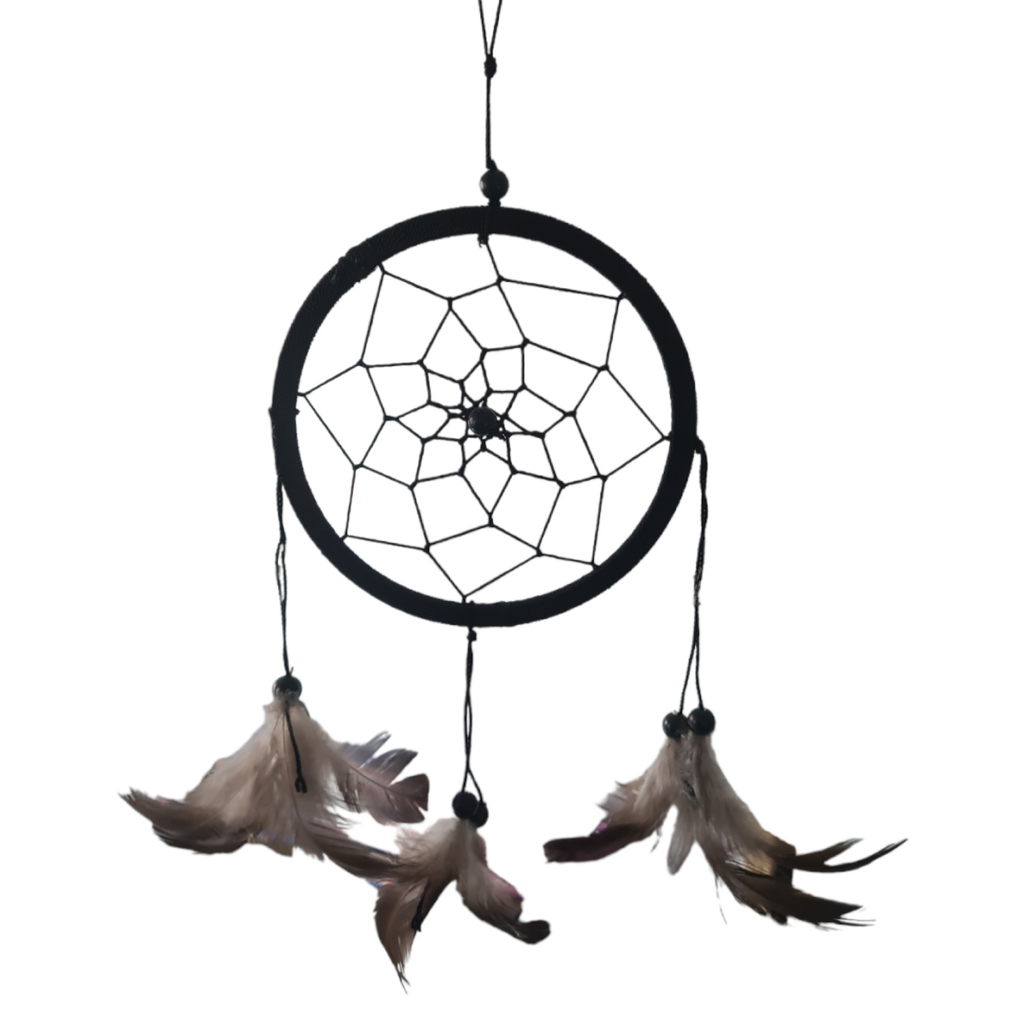 Drömfångare S